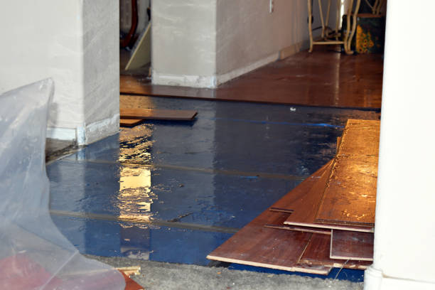 Professional Water Extraction technician working in La Farge, WI